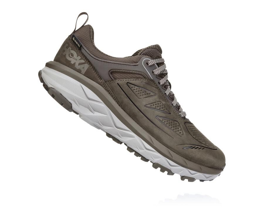 Trail Shoes Womens - Hoka One One Challenger Low GORE-TEX - Brown - YQARJIP-03